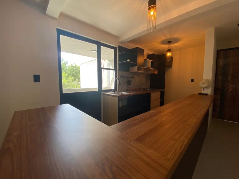 011 Caña